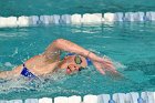 Swimming vs Babson  Wheaton College Swimming vs Babson College. - Photo By: KEITH NORDSTROM : Wheaton, Swimming, Babson